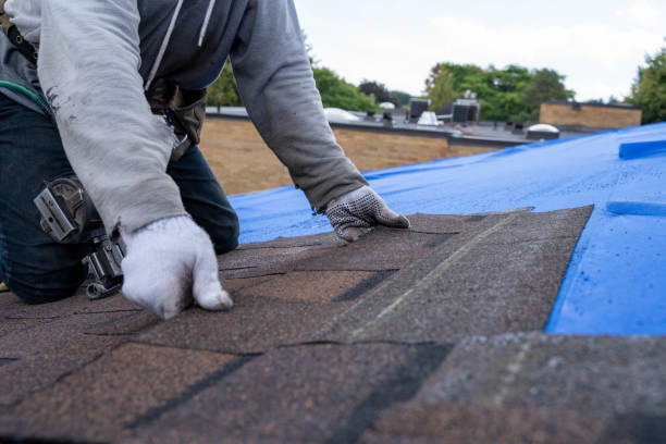 Sealant for Roof in Bernie, MO