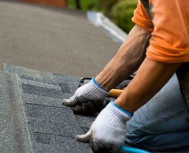 Professional Roofing Contractor in Bernie, MO