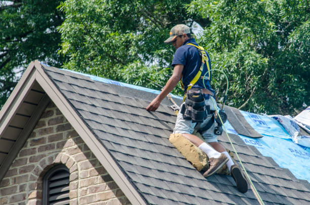 Roof Waterproofing Services in Bernie, MO